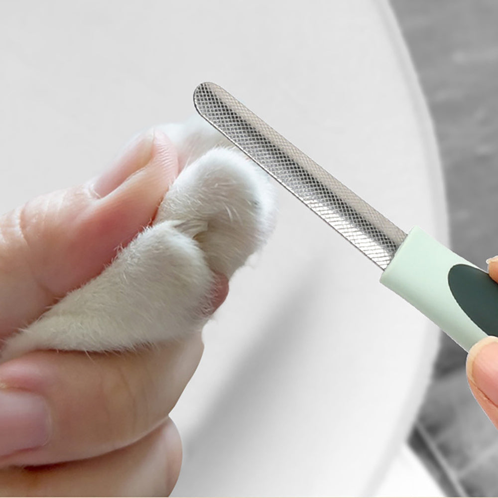 Kit professionale per toelettatura