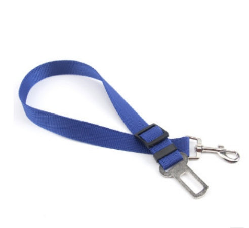 Cintura di sicurezza per cani