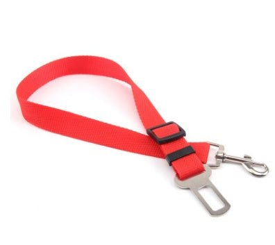 Cintura di sicurezza per cani