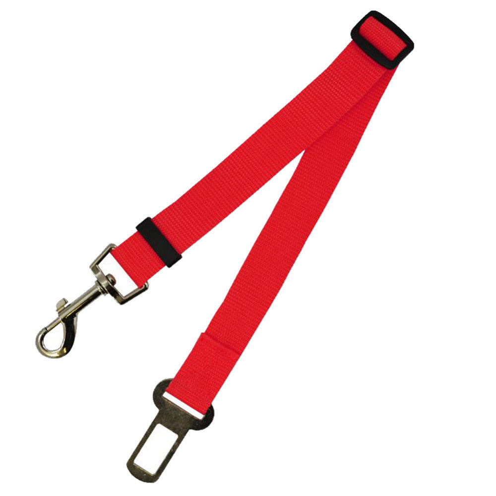 Cintura di sicurezza per cani