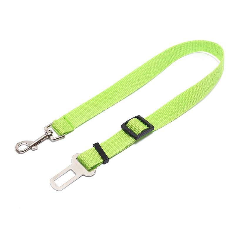 Cintura di sicurezza per cani