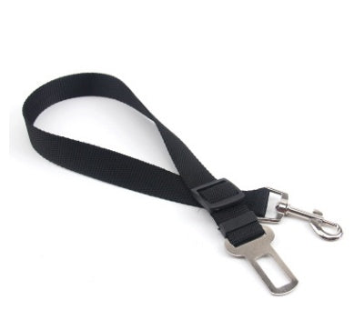 Cintura di sicurezza per cani
