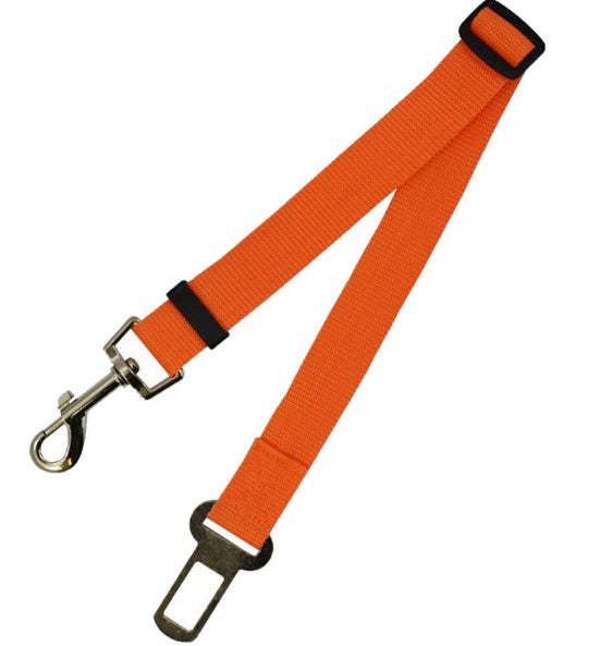 Cintura di sicurezza per cani