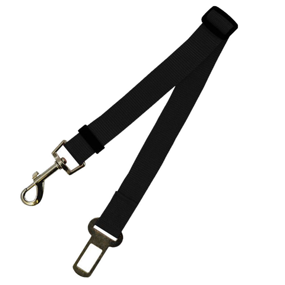 Cintura di sicurezza per cani