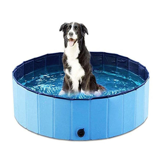 Piscina per cani pieghevole