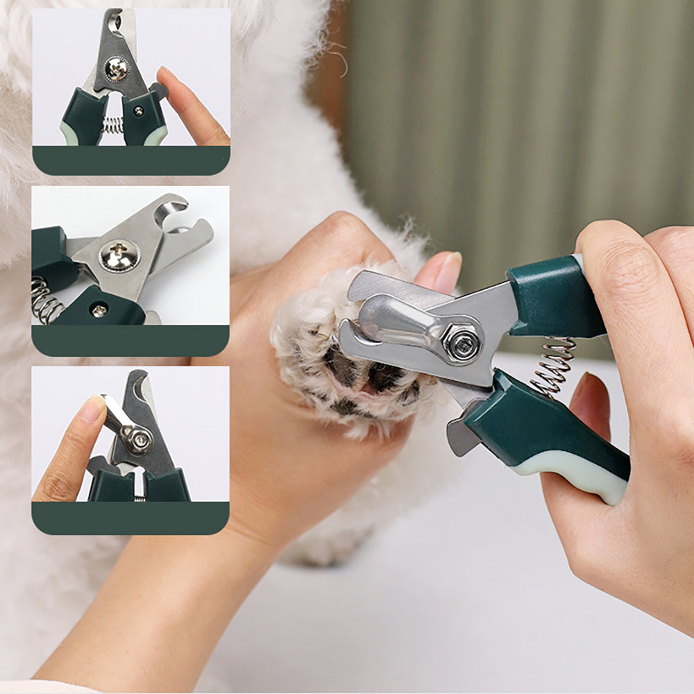Kit professionale per toelettatura